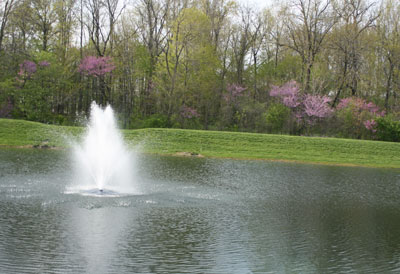 fountain 2